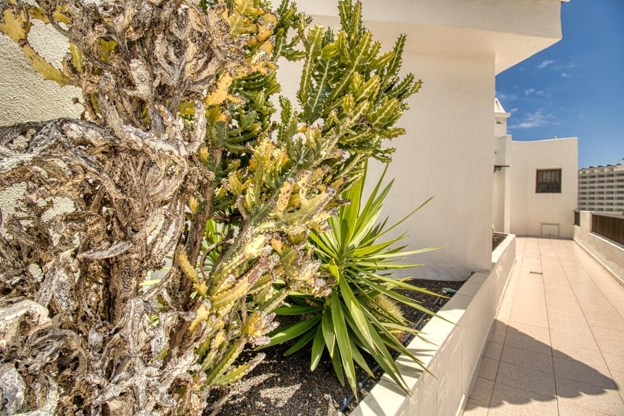 Penthouse Sea View Jacuzzy Terrace & Pool Apartment Playa Feñabe Bagian luar foto