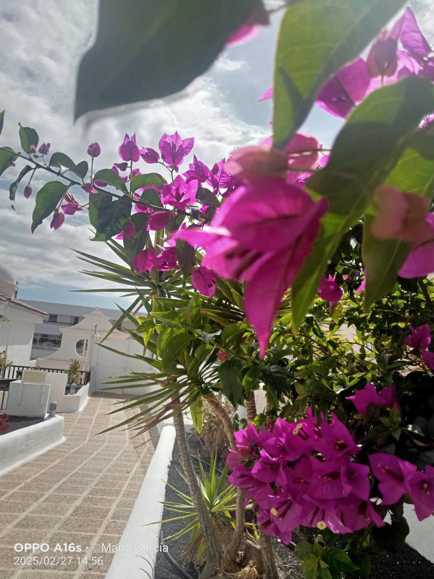 Penthouse Sea View Jacuzzy Terrace & Pool Apartment Playa Feñabe Bagian luar foto